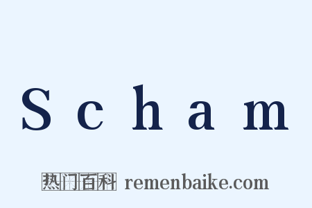 Scham是什么意思的图片